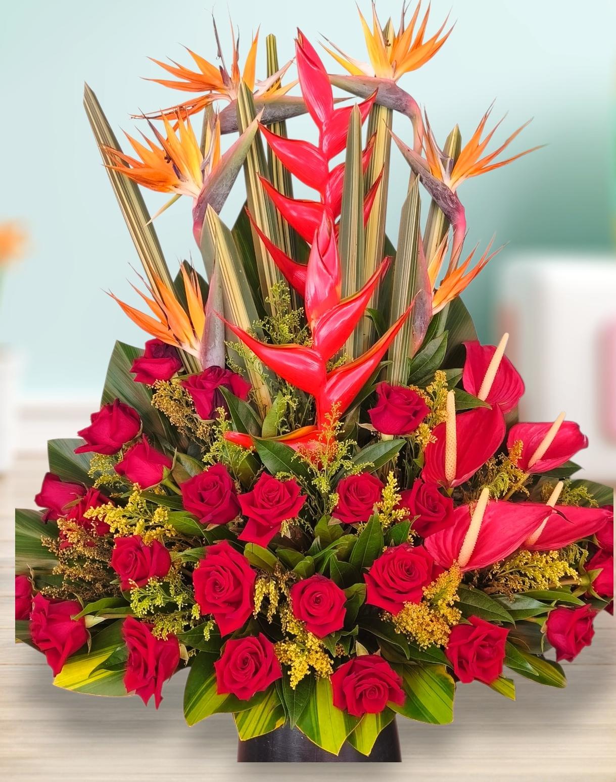 tropicales y rosas